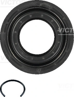 Shaft Seal, differential